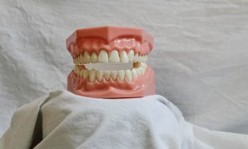 Cerrah Diş Hekimi İş İlanları
