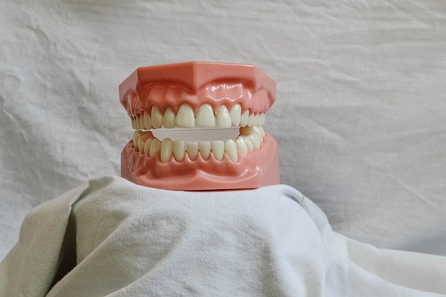 Cerrah Diş Hekimi İş İlanları